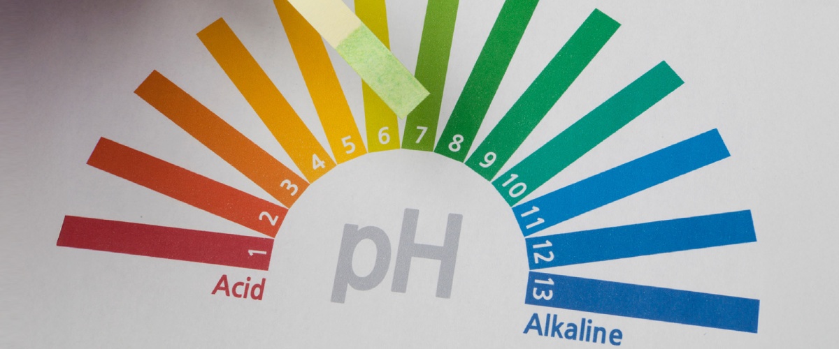 pH-test-strip